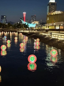 良い天気だー
