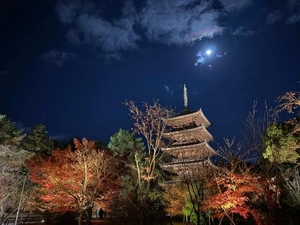 ありがとうございます♡