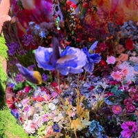 お問い合わせくださいました仲良し様へ。。🙇‍♀️