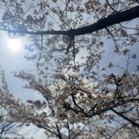 ‪✿出勤しております‪✿