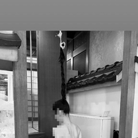 ‪✿出勤しております‪✿