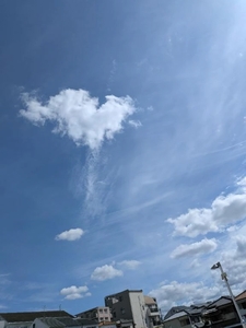 本日も晴天なり✨