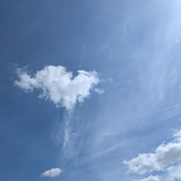 本日も晴天なり✨