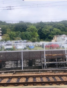 お久しぶりです🤍