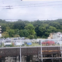 お久しぶりです🤍