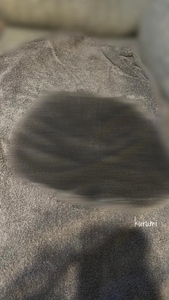 続き…していただけますか？