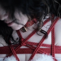 メリークリスマス🎄🎅✨