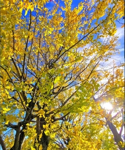 向かってます🚗