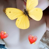 本日と明日❣️