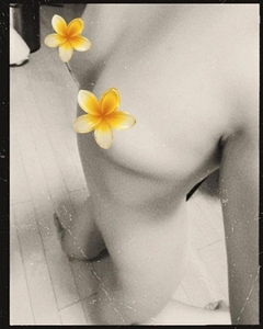 お久しぶりです❣️