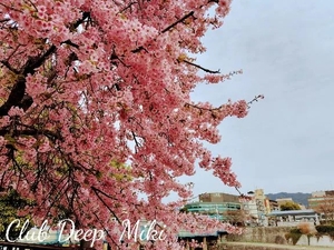 おはようございます♪