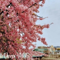 おはようございます♪