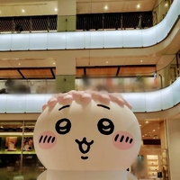 おはようございます♪