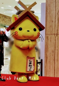 おはようございます♪