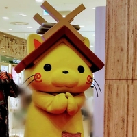 おはようございます♪