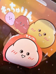 念願の