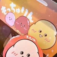 念願の