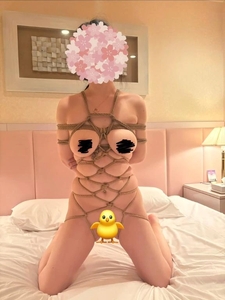 写真速報